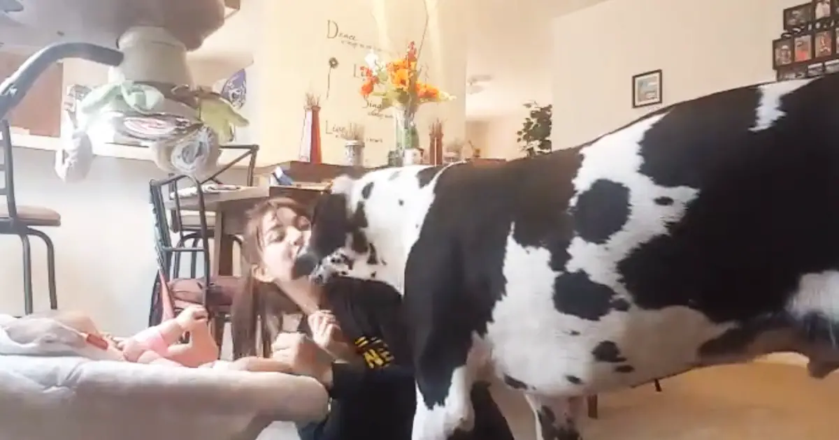 Jealous Dog Doesn’t Want Mom to Play With Her Baby. So ...