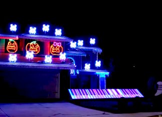 halloween lights spiders