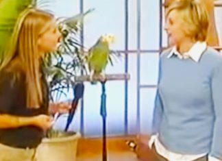 Ellen and Quito
