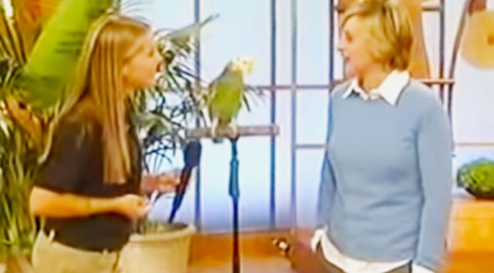Ellen and Quito