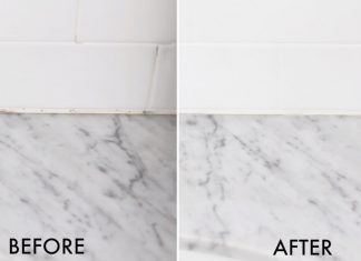mold remover