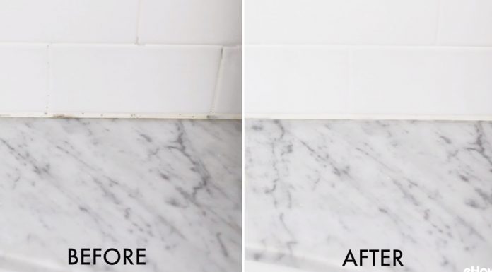 mold remover