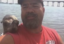man-and-sea-lion