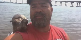 man-and-sea-lion