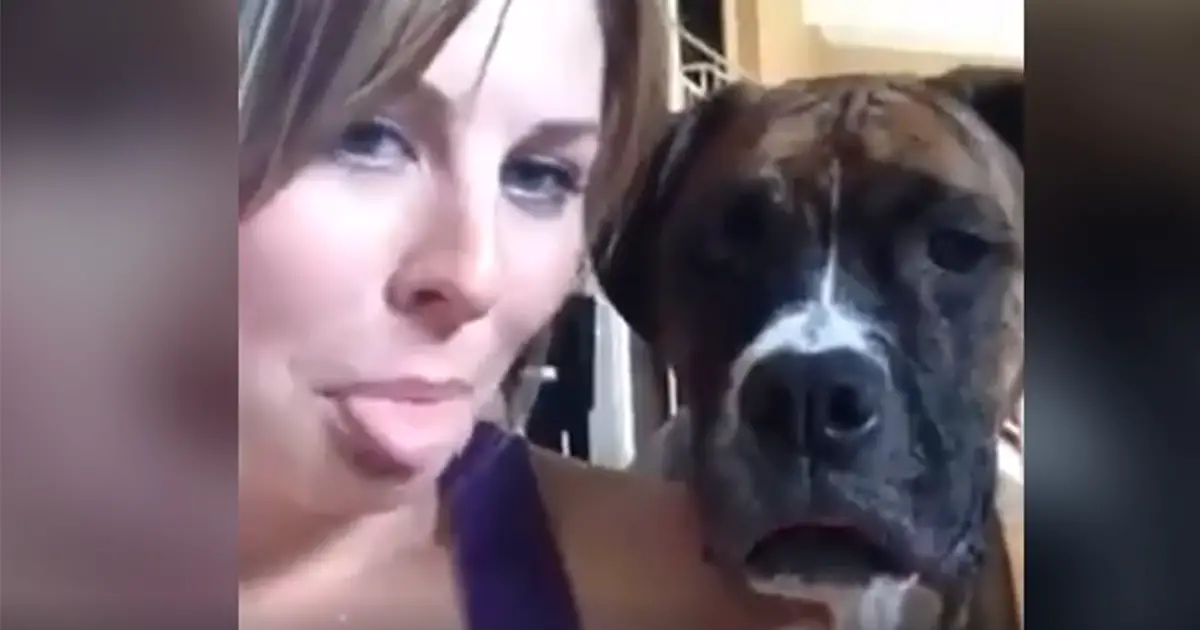 dog-selfie-copy