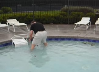 ducks-pools