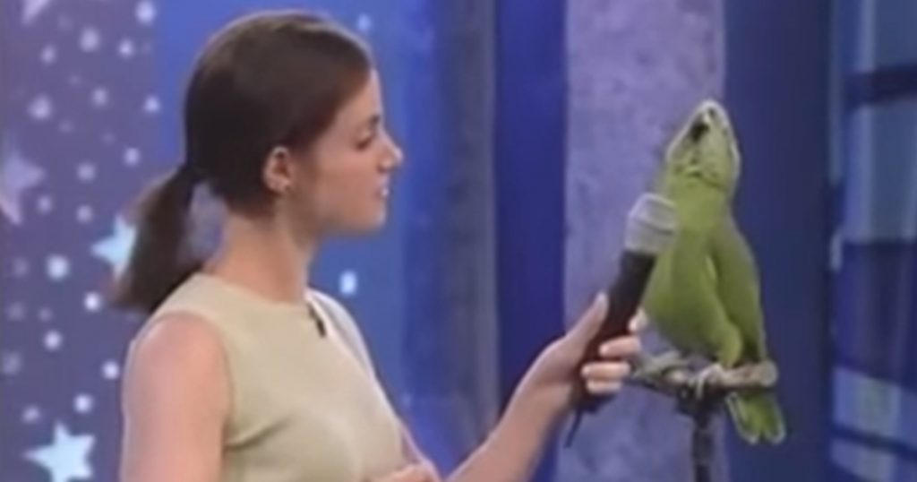 parrot-sings