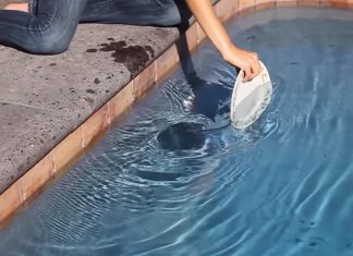 pool vortex