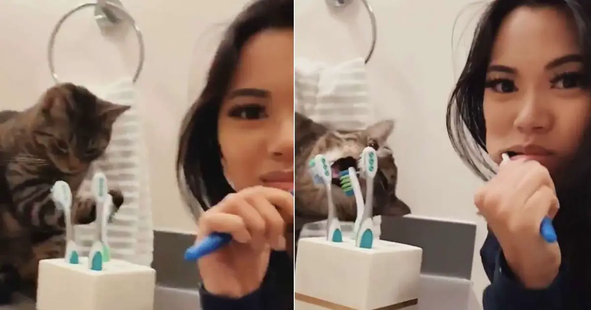 achilles brushing teeth