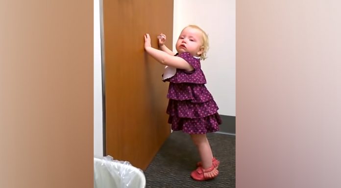 angry-piper