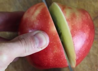 apple-swan-tutorial