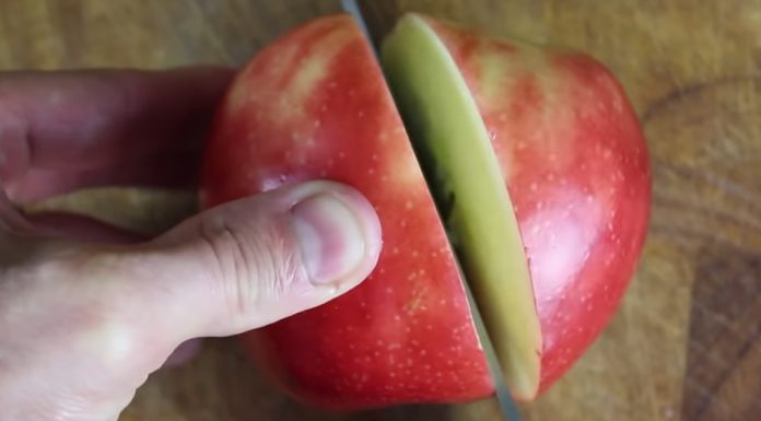 apple-swan-tutorial