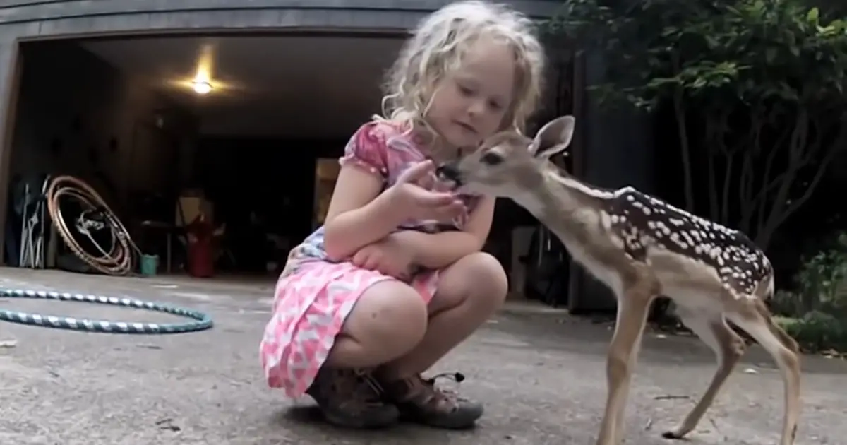 deer whisperer