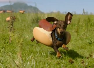 heinz-ad-2016