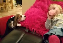laura-and-ollie
