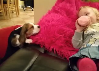 laura-and-ollie