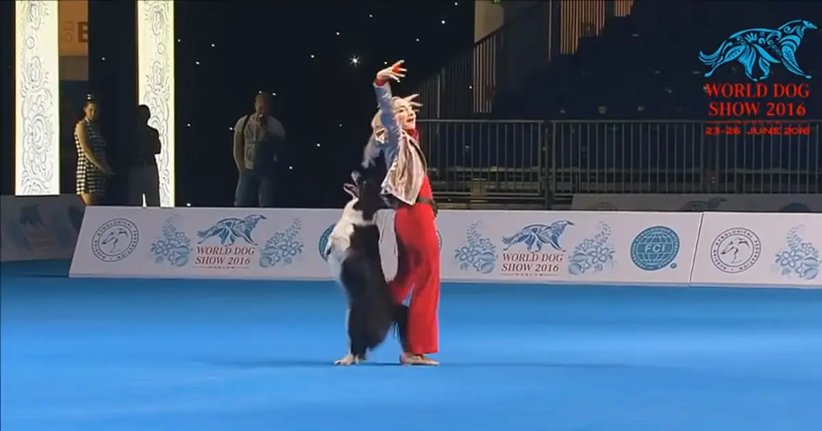 dog dance competition