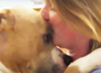 lilybug-adopted