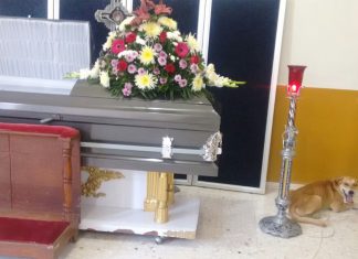 missing dog funeral ceremony