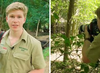 robert irwin expedition
