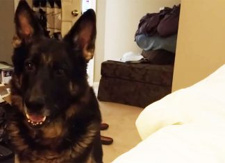 rocko-bed-quarrel