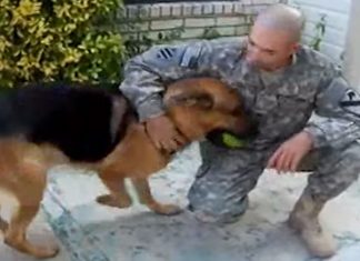 soldier-gsd-reunion