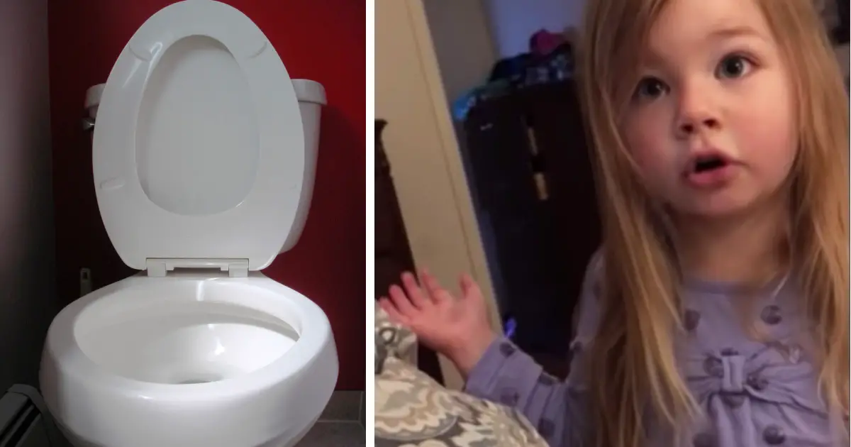 toddlers toilet seat lecture