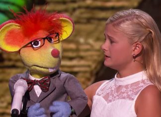 darci-song