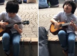 feng e ukulele