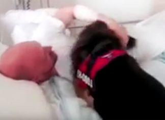 gsd-meets-dad