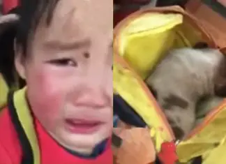 qi qi cry