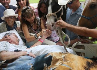 rancher-veterans-dying-wish
