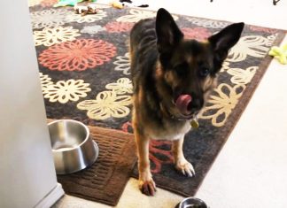 super-disciplined-gsd