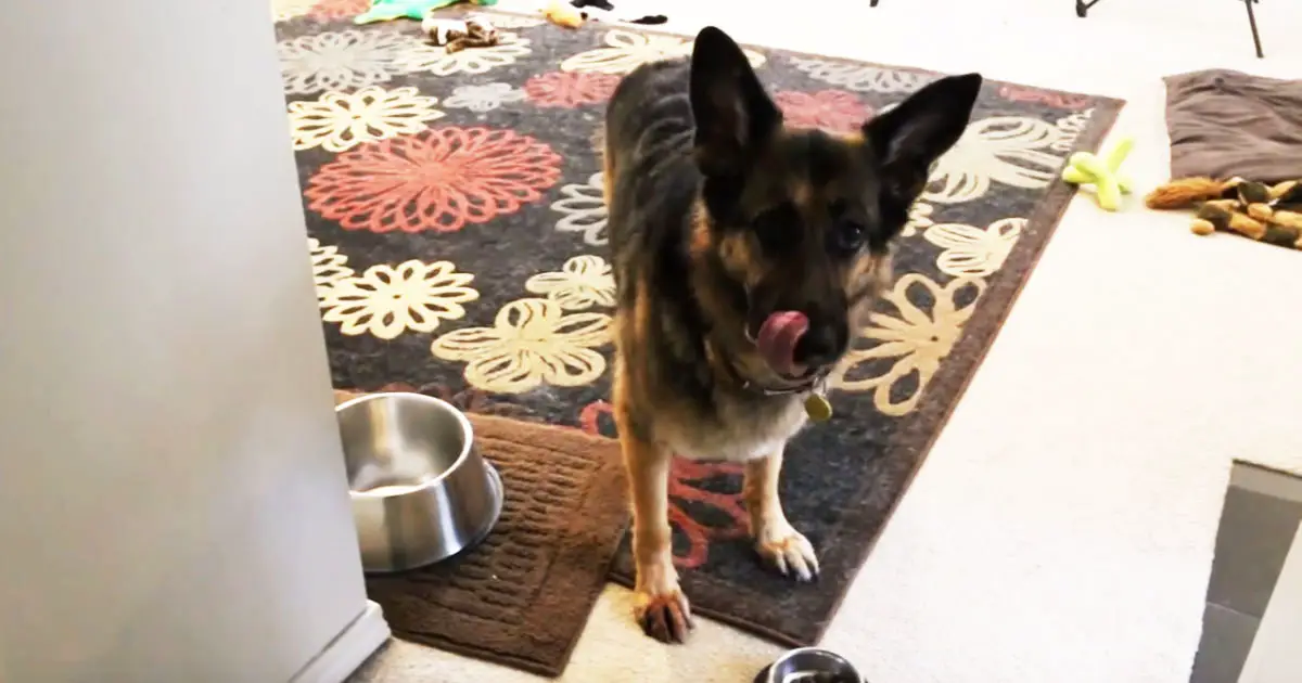 super-disciplined-gsd