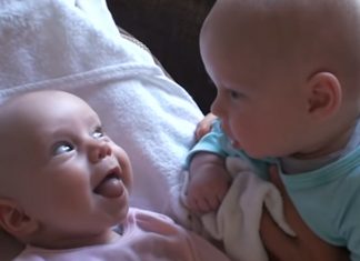 twins conversation
