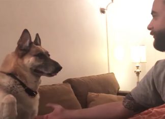 brinks-teases-dad
