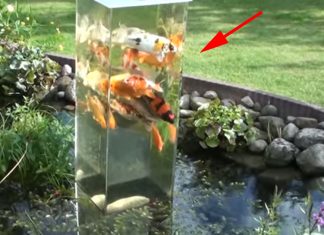 fish-tower