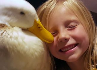 girl and duck