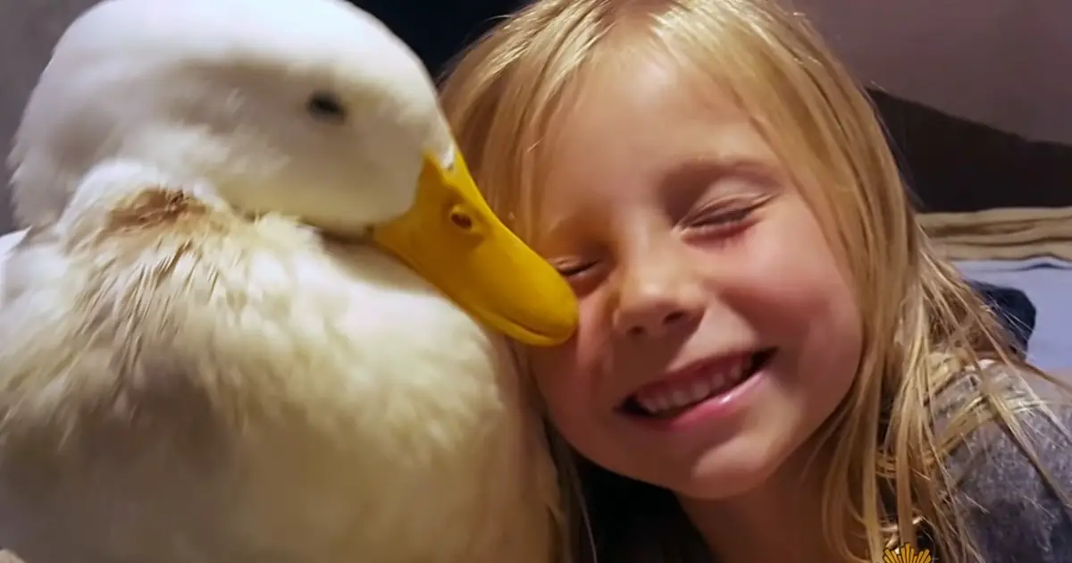 girl and duck