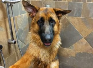 gsd-in-bath