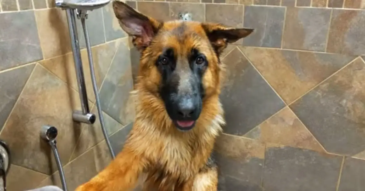 gsd-in-bath