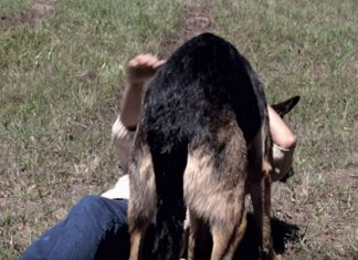 hero-gsd