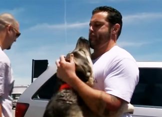 soldier adopts puppy