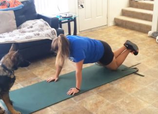 gsd-pup-workout