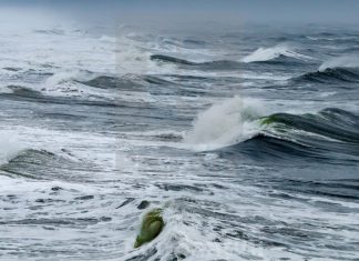 hofman-sea-of-trash
