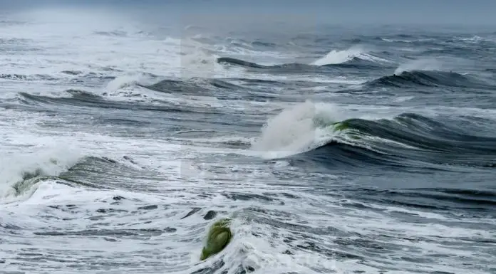 hofman-sea-of-trash