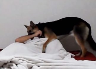 linda-owner-nap