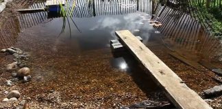 natural pool