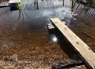 natural pool