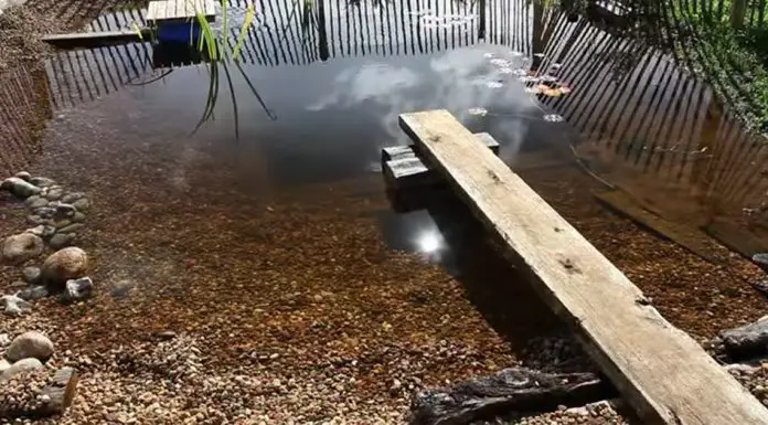 natural pool